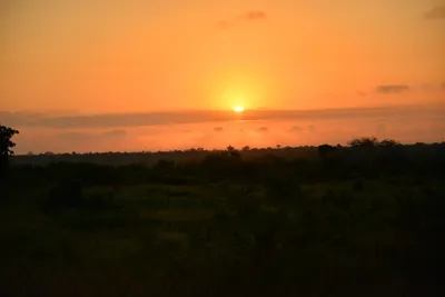 DSC_4244 (Large).JPG